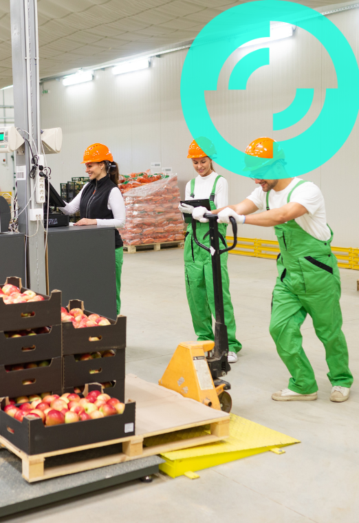 Produção e Distribuição